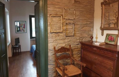 Andros Town House | Pure Nature House