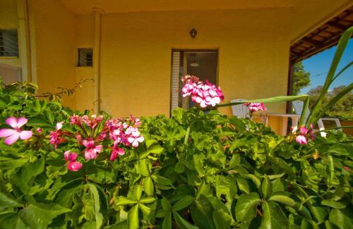 Nopigia Apartment | Rooms Leonidas