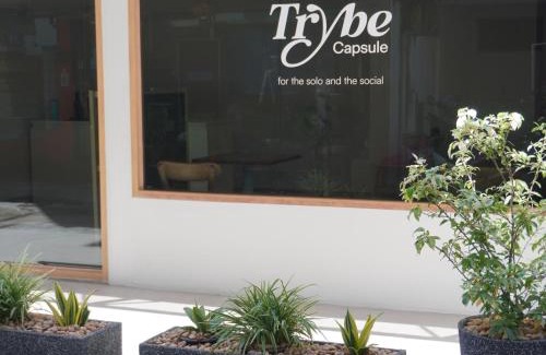 Thapae Hostel | Trybe Capsule Hostel Chiang Mai