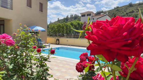 Kakopetria Villa | Villa ∙ 4 bedrooms ∙ 7 guests