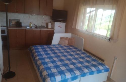 Lafkos Apartment | Yerios
