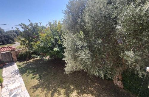 Eretria Villa | Βίλα Χαρά