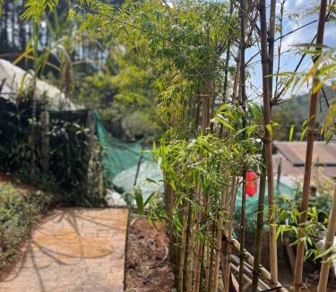 Mok Cham Pae House | บ้านซินอัน