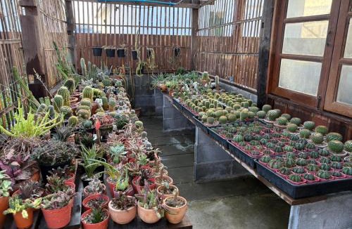 Hang Dong House | บ้านทาคายามา