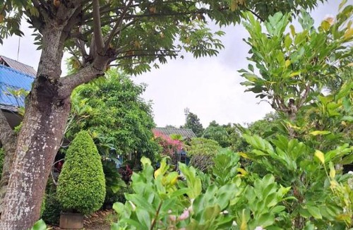 Khlung Hotel | บ้านสวนครูเย็น