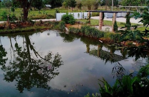 Nong Bua Daeng House | บ้านสวนปลายนา Ban suan pailna