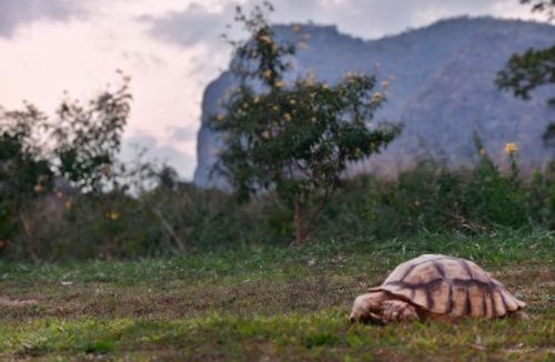 Mu Si Hotel | เขาใหญ่ฮาร์ทแลนด์ khaoyai heartland