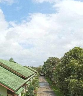 Hat Yai House | เดอะกรีนฟอเรสท์ รีสอร์ท