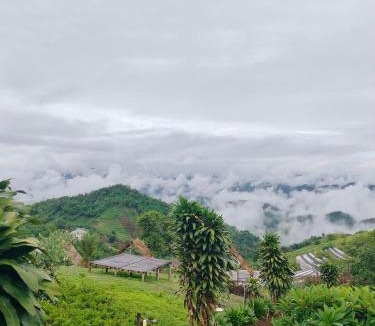 Samoeng Tai Other | เต็นท์กระโจม - Raiwassana Baandoy