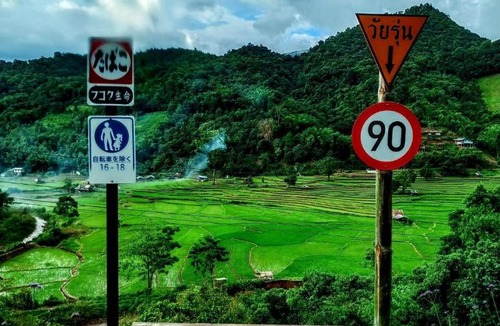 Bo Kluea Other | เวนิสบ้านเวร โดมใส