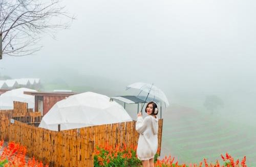 Mae Rim Other | ไร่อมรพญา ม่อนแจ่ม เชียงใหม่