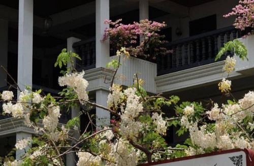 Makkasan Bed & Breakfast | 20 m² Bed and breakfast ∙ 2 guests