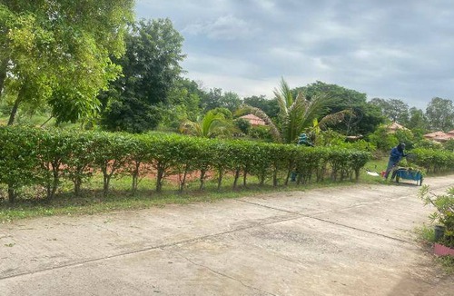 Bua Yai Resort | 25 m² Resort ∙ 2 guests