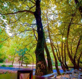 Dodoni Bed & Breakfast | 30 m² Bed and breakfast ∙ 3 guests