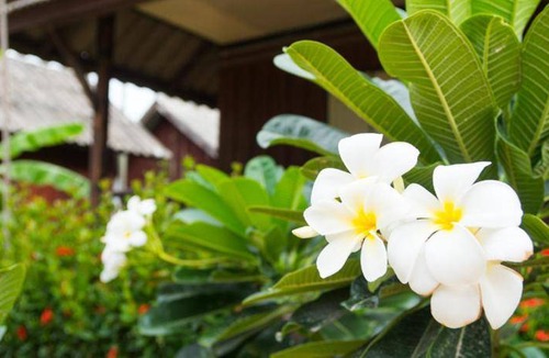 Lamai City Center Hotel | 30 m² Hotel ∙ 127 guests
