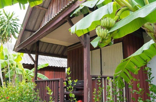 Lamai City Center Hotel | 30 m² Hotel ∙ 127 guests
