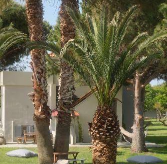 Eresos-Antissa Apartment | 36 m² Apartment ∙ 2 bedrooms ∙ 4 guests