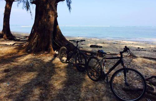Mai Khao Bed & Breakfast | 36 m² Bed and breakfast ∙ 3 guests