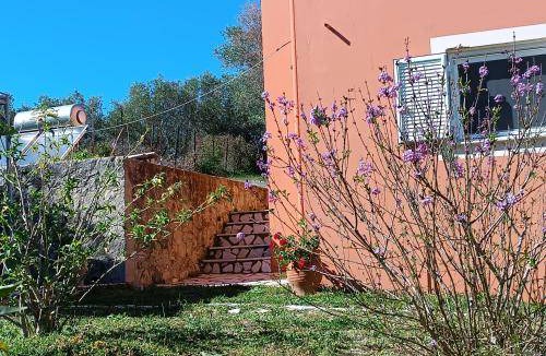 Corfu Bed & Breakfast | 45 m² Bed and breakfast ∙ 1 bedroom ∙ 3 guests