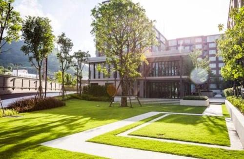 Ratsada Apartment | 452 D Condo Campus Resort KuKuPhuket
