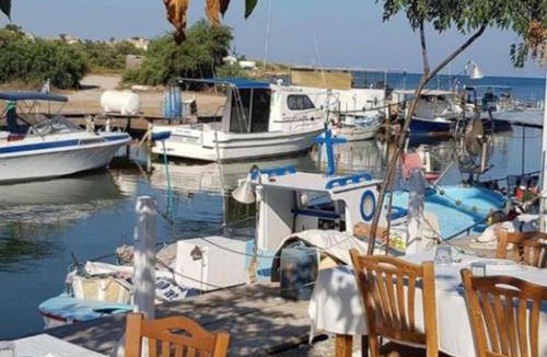 Liopetri Apartment | 55 m² Apartment ∙ 2 bedrooms ∙ 6 guests
