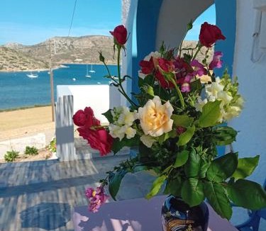 Lipsoi Apartment | Aggeliki's Apartments