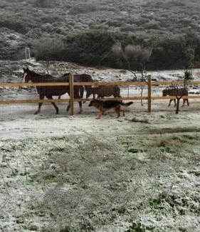 Skiros House | Almond House