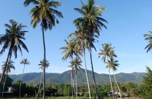 Mae Nam Resort | Amarin Samui Hotel - SHA Plus Certified