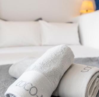 Kalloni Tinou Apartment | Anemona Apartment Tinos