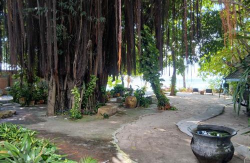 Baan Tai House | Anodash Homestay