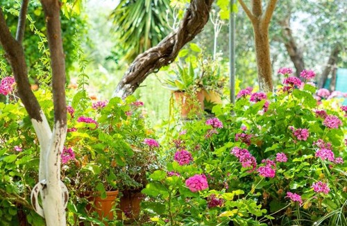 Vamos House | Apanemidi Traditional House with Pool