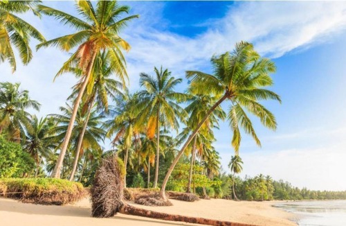 Khao Lak Resort | Apsara Deluxe - beautifully styled| 47 m²/506 ft² | DU#8