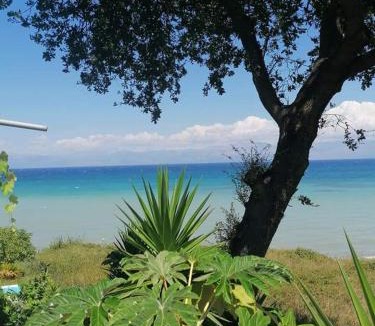 Astrakeri Apartment | Astrakeroula Corfu
