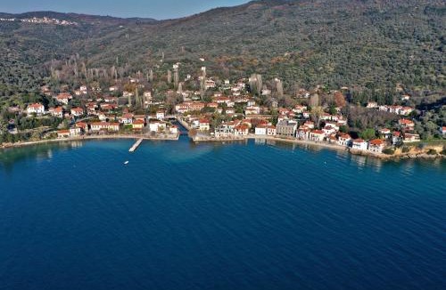 Horto House | Athina Studios