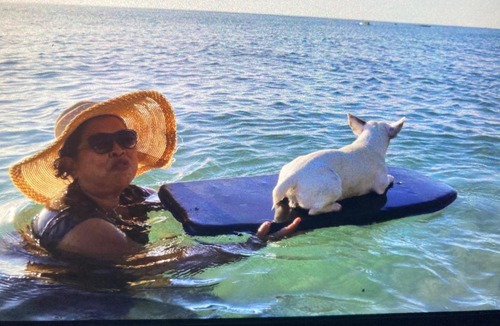 Ko Chang Hotel | Baan na home stay