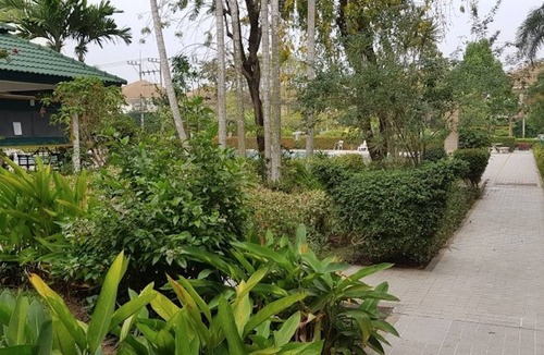 South Pattaya Condo | Baan Suan Lalana Sa Floor 5 Room 518