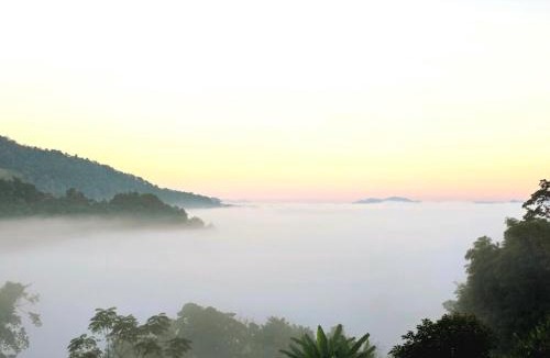 Mae Taeng Villa | Balihouse PhuSaimorkVilla