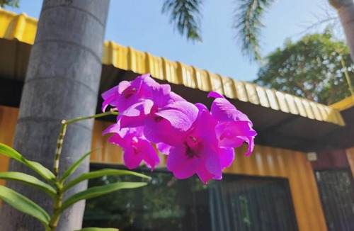 Sam Roi Yot Resort | Beach Box at Pran