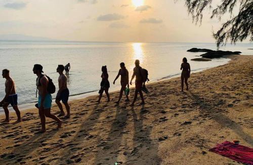 Haad Rin House | Bird Bungalow Koh Phangan