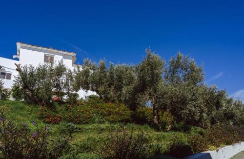 Katsarou Apartment | Cape Blue Suites