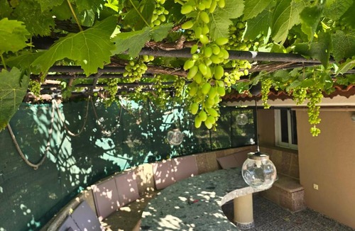 Ialyssos Villa | Casa Loma Rhodes - Pool Vila,Private Bar,Organic Garden,Near Airport