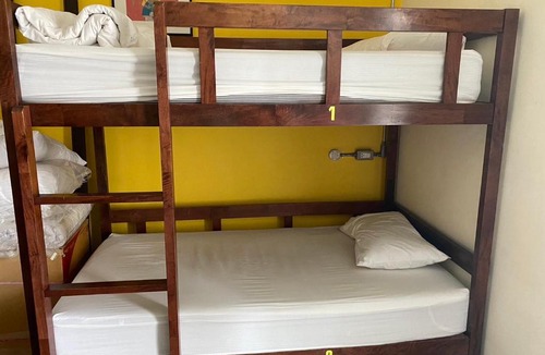 Hat Yai Apartment | Cat Bed