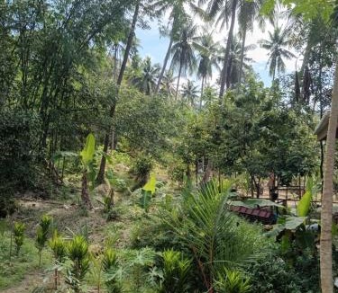 Ko Kood Hotel | Chom Suan Farmstay
