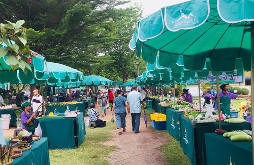 Nai Muang House | City around with atmosphere of love, friendly people and lovely the elephant.