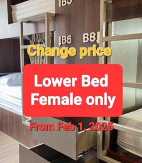 Thapae Hostel | Comfort Zone Hostel @ Tha Pae
