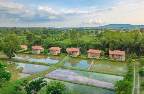 Wang Nam Khiao House | COOLLiving Farmhouse Organic