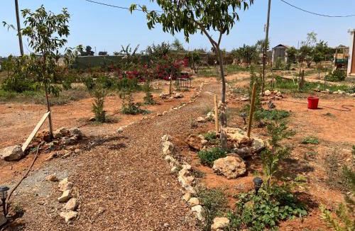 Dasaki Achnas House | Digital Detox with 100 Animals Nature Stay