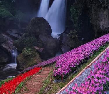 Ban Luang Resort | Doi Inthanon Waterfall Garden