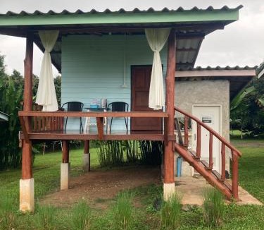 Chiang Dao House | Doi Piang Dao Farm