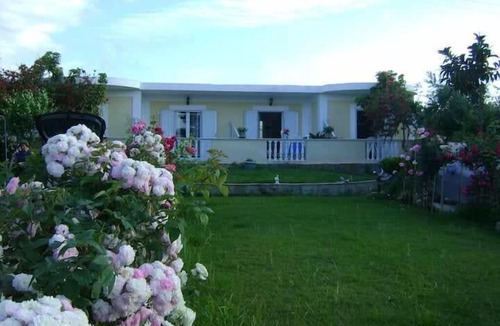 Drosia Apartment | dragonas-diam-1 in Zante